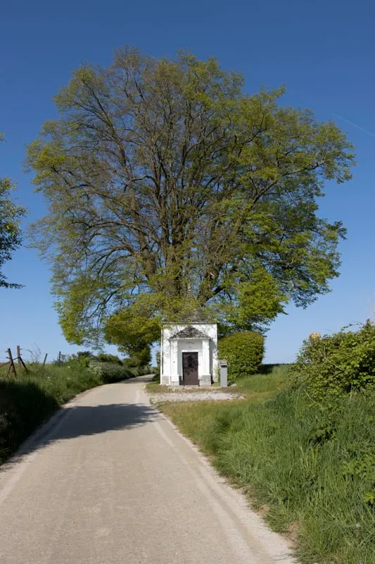 Au rythme des pas - photo 6