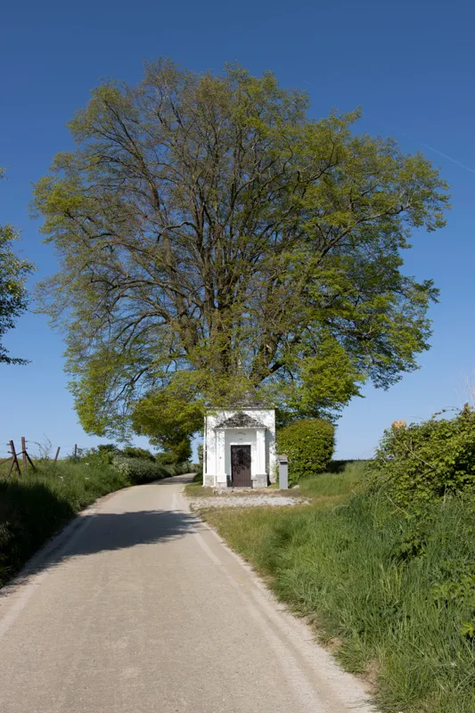 Au rythme des pas - photo 6