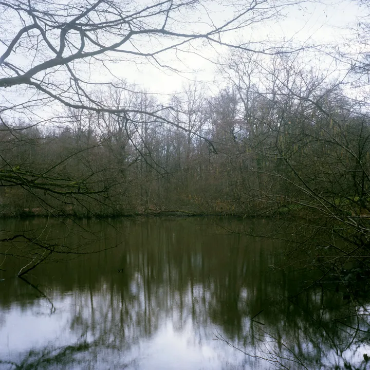 Ferrarias - photo 3