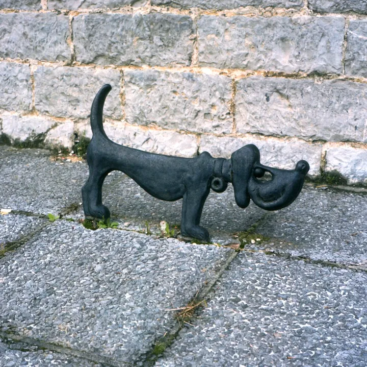 Ferrarias - photo 10