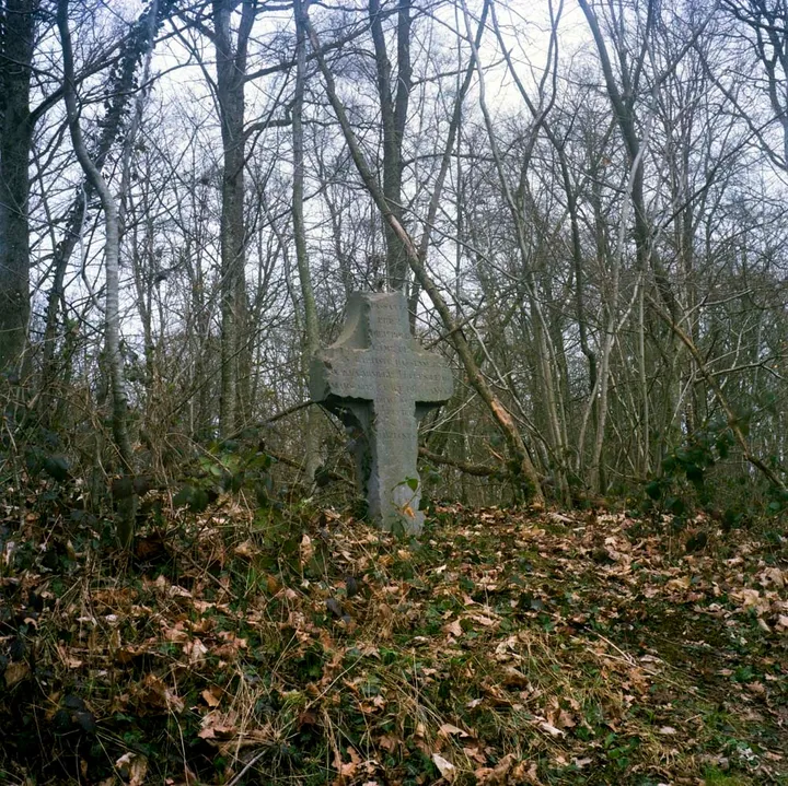 Ferrarias - photo 12