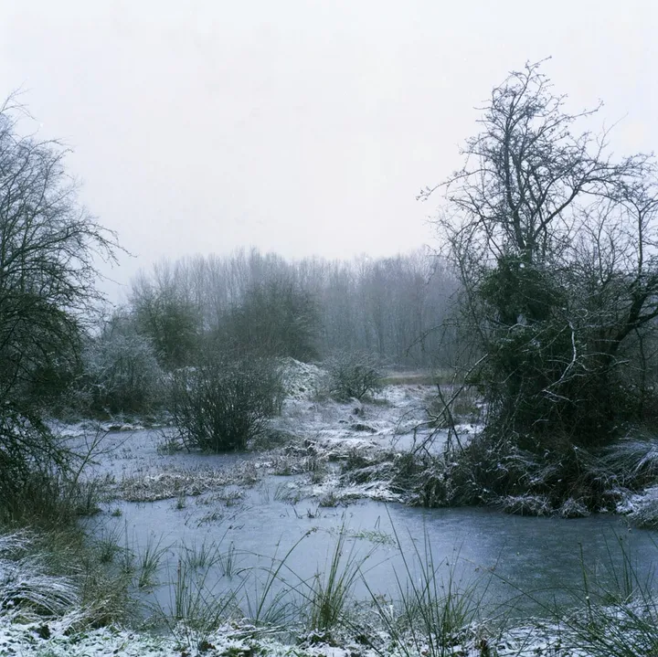 Ferrarias - photo 16