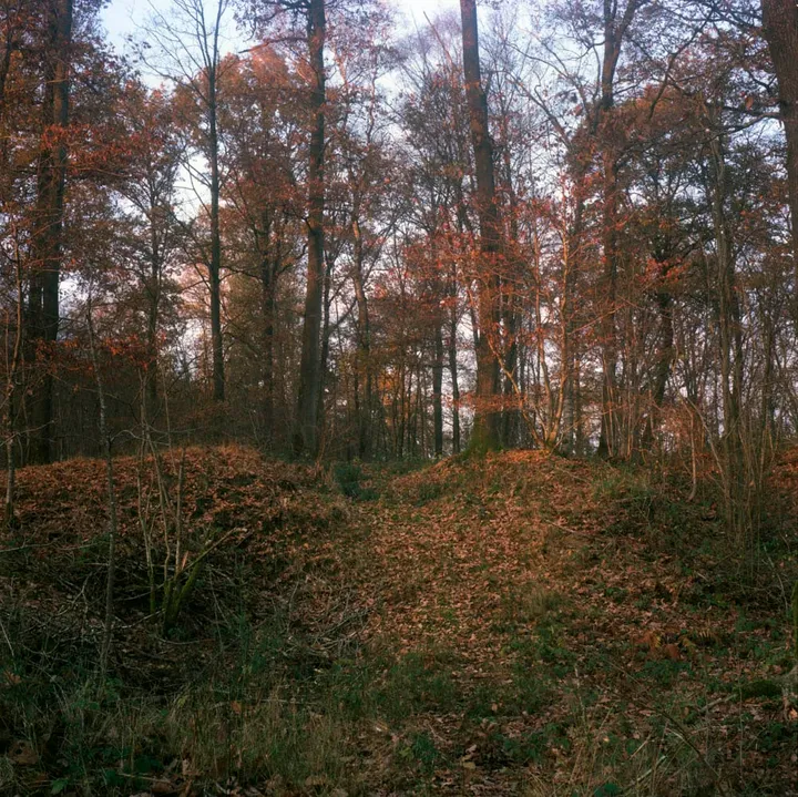 Ferrarias - photo 17