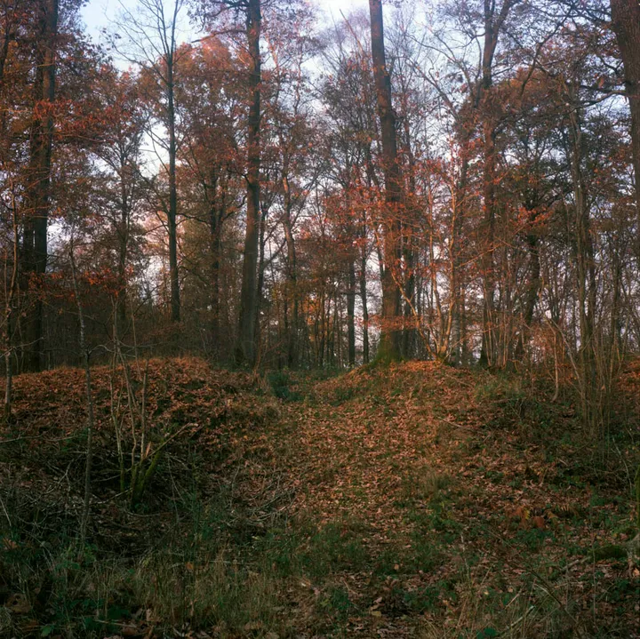 Ferrarias - photo 17