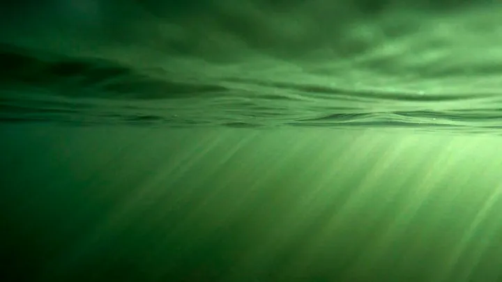 Thalassophobie - photo 5