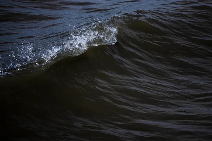 Thalassophobie - photo 12