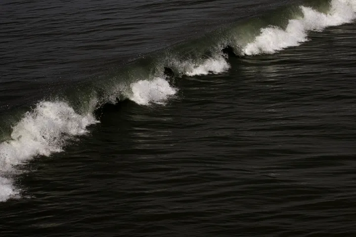 Thalassophobie - photo 14
