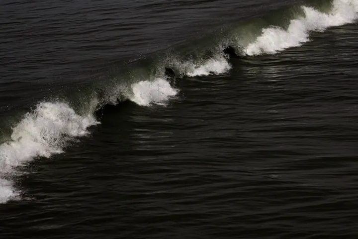 Thalassophobie - photo 14