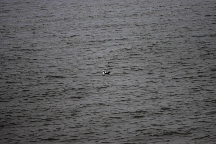 Thalassophobie - photo 16