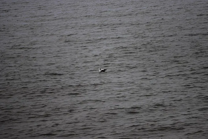 Thalassophobie - photo 16